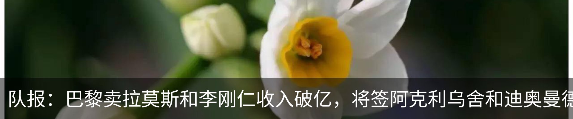 资讯动态